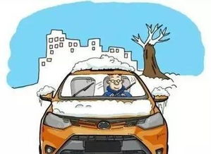 一夜10车被砸！3类砸车案拆解+2026防砸防盗/理赔全攻略