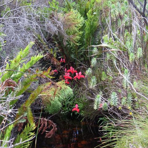 7天精通自然之道类游戏，生态平衡+资源循环的冷门实战攻略