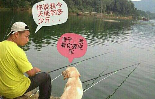 2026年钓鱼游戏怎么下载选款？拟真/休闲/竞技类全解析，避坑指南在此