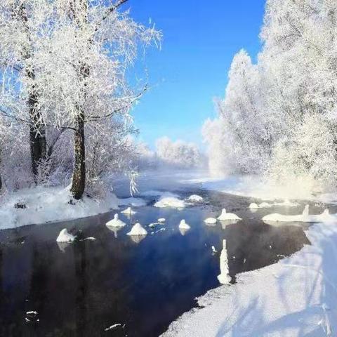 全国冰河模式开启，低温下游戏设备咋救？12款冷门硬核冰河生存游戏推荐