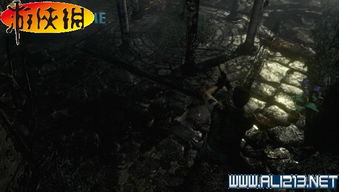 生化危机6蜘蛛女BOSS全攻略，弱点拆解+全难度通关技巧+隐藏机制深挖