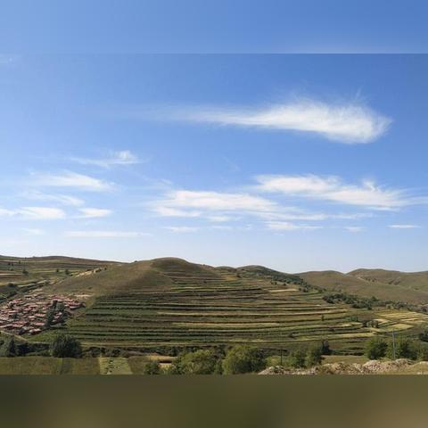 堵车堵到天路？开放世界离谱交通梗全解析，整活+BUG修复指南