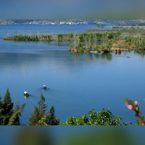 2026年休闲游戏排行榜怎么选？6大类榜单拆解+热门需求匹配，玩家精准找游指南