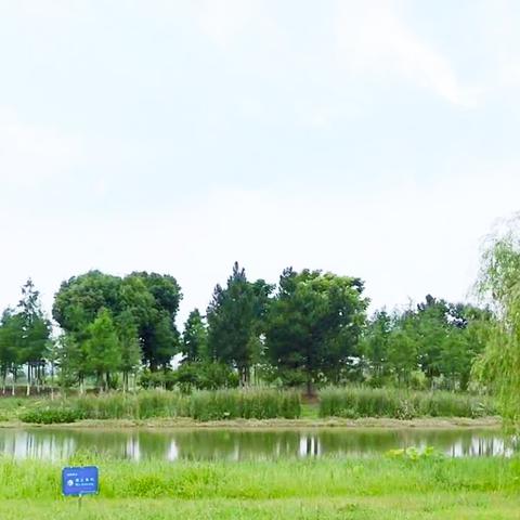 工业区规划类型全解析，匹配热门产业需求的冷门适配技巧与实战案例