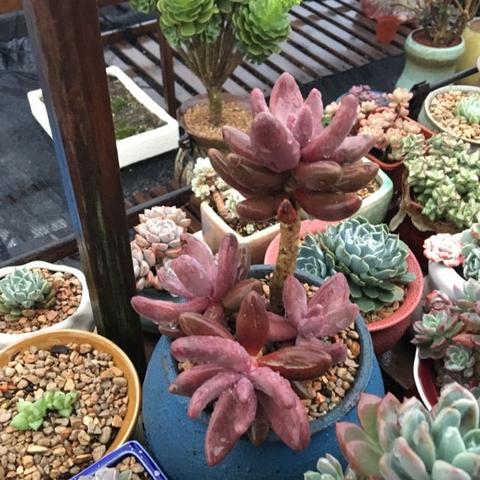 笑傲江湖银子全类型获取攻略，零氪搬砖党月入6000绑定银的隐藏渠道解析