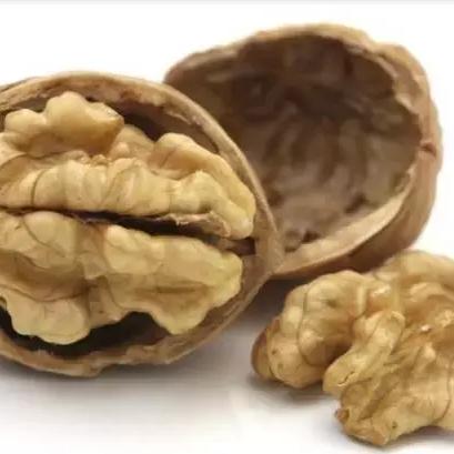 90岁衰弱体质玩家必看，健脑、社交、怀旧类热门游戏精准匹配全指南