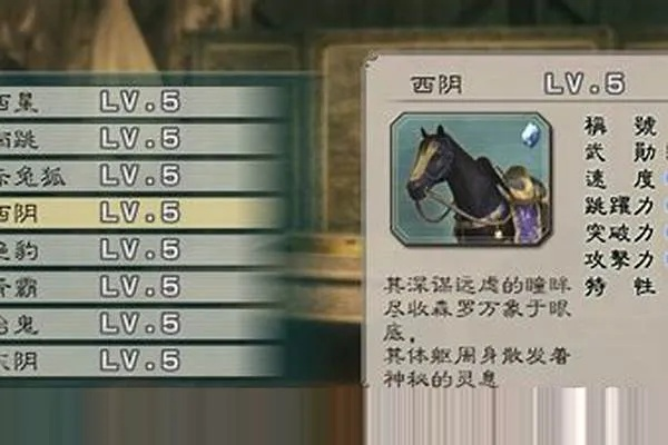 真三国无双5武器类型深度拆解，适配武将、刷取攻略及玩家痛点解决