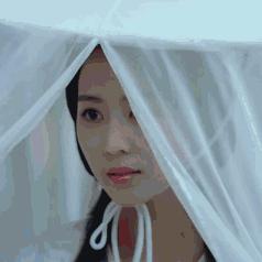 七夫人19楼全攻略，剧情分支触发、隐藏结局解锁、权谋养成实战技巧深度解析