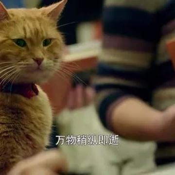 詹姆斯考虑退役？拆解3大核心动因+2026年NBA格局连锁反应