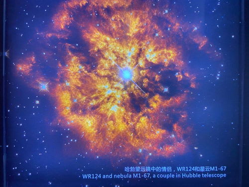 美团队发现29个外星文明或已锁定地球？科幻玩家生存&创作全指南