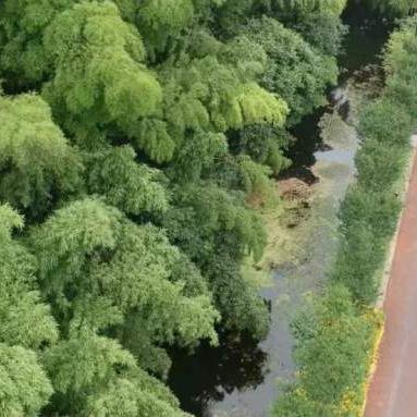 魔兽世界4.3怀旧服终极攻略，毕业装速刷、单刷秘境、幻化全收集，新手如何快速进阶？