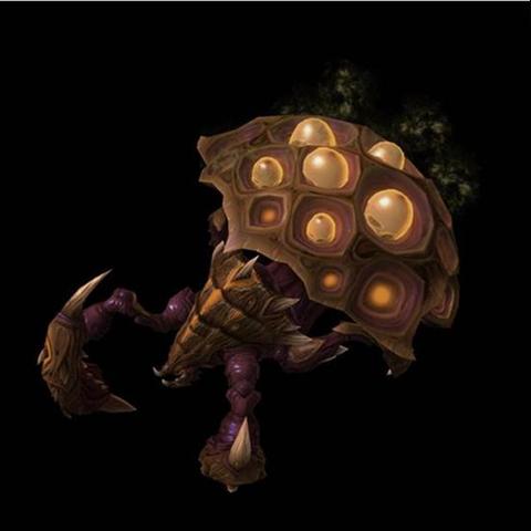 虫群之心如何从青铜冲宗师？虫族进阶技巧+剧情隐藏细节全解析