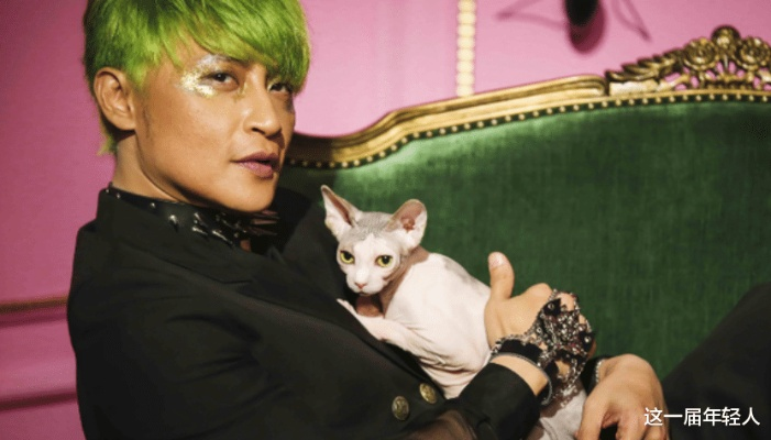 从陈志朋的反差破圈看小虎队IP的长青密码，如何适配当下流量需求？