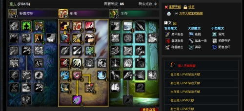 魔兽世界多玩党进阶指南，如何高效兼顾多职业、PVE/PVP与休闲玩法？