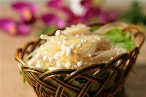 别再瞎捡银针菇！3大类型适配场景+料理增益全解析（2026版）