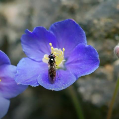 2026魔兽大秘境全类型拆解，冲层/速刷/成就党如何精准匹配最优副本？