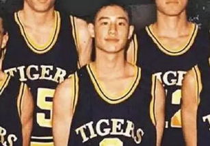 街头篮球潘玮柏类型深度拆解，连招套路、阵容搭配、实战秘籍，秒变外线得分王