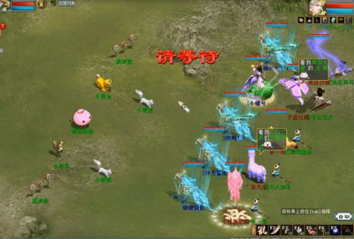 别乱进化伊宝！2026朱紫版本8种进化型对战定位&养成全解析