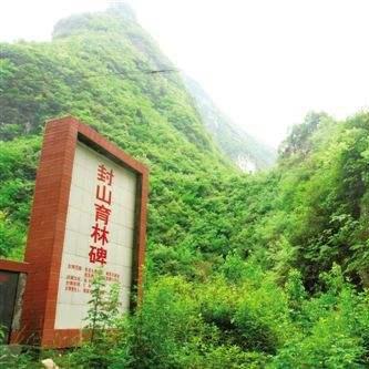 起源之战类型怎么选？匹配热门需求，搞定开荒、竞技、剧情核心痛点