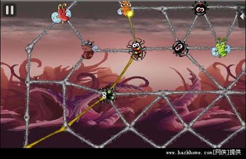 如何称霸贪婪的蜘蛛？新手速通、最强蜘蛛搭配+高难关卡破解秘籍