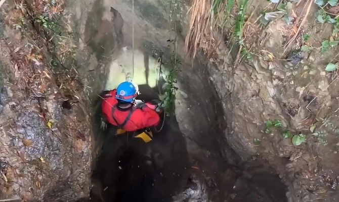 掉深洞6年的小狗终获救，极端洞穴生存真相+专业救援全流程硬核拆解