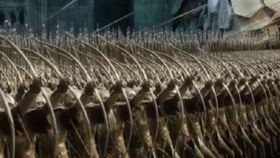 罗马2全面战争，从新手到传奇的破局+扩张全攻略｜派系专精+资源暗门