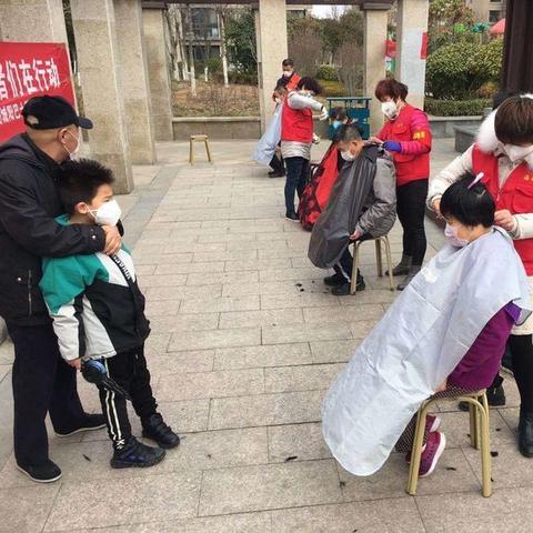 植物大战僵尸2海盗港湾第7天零氪速通，破解海鸥+巨人的传送带通关秘籍