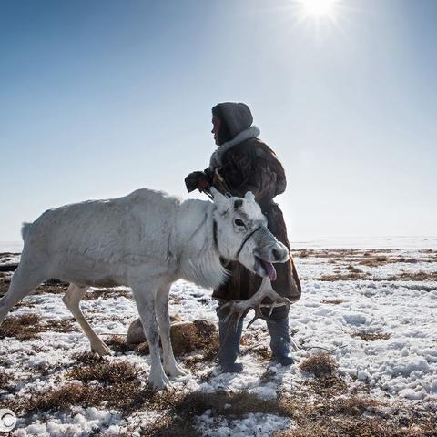 生存之旅1怎么稳过全战役？AI导演门道+团队配合实战技巧全揭秘