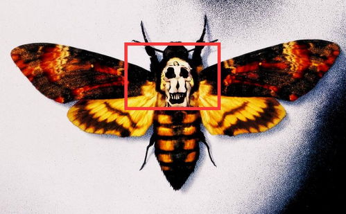 熊猫人之谜开场台词藏了多少秘密？东方哲思、剧情伏笔及创作指南