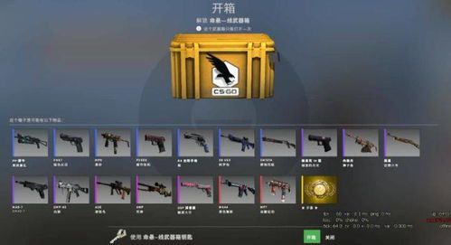 CSGO开箱网站怎么选？2026内部玩家私藏，避坑指南+高回报率平台实测