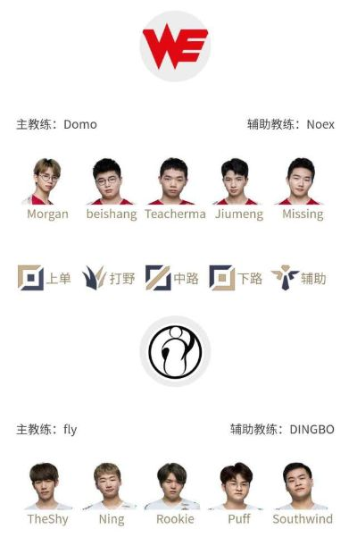 现役IG队员类型深度拆解，匹配玩家上分/观赛需求的精准指南