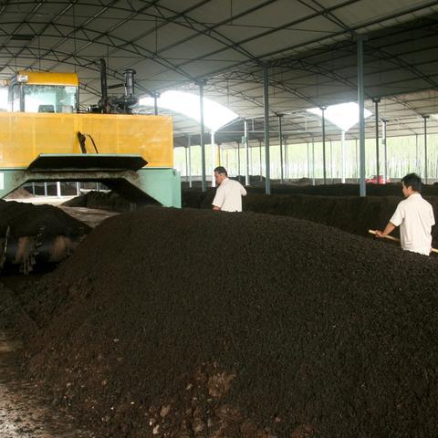 太平洋DOTA冲分难？拆解赛区风格+适配战术，2026鱼塘突围全指南