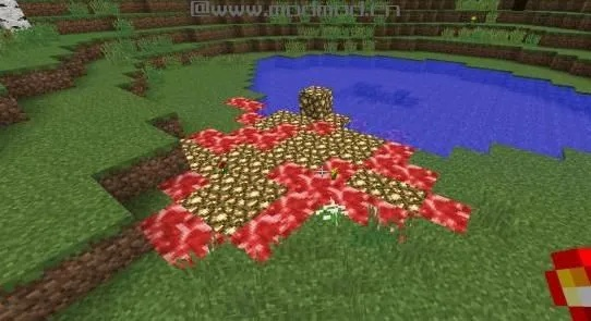 真菌世界怎么下载？正版/汉化/MOD整合包安全获取+避坑指南