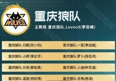 狼队激活码独家解析，类型划分、热门获取渠道&避坑攻略，2026年玩家必藏