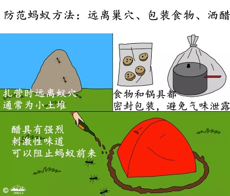 蚁酸药剂全攻略，生存游戏里的腐蚀驱虫神级消耗品？制作/实战/隐藏用法一网打尽