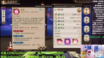 2026辉夜姬御魂搭配全攻略，斗技/逢魔/秘闻专属方案+实战避坑