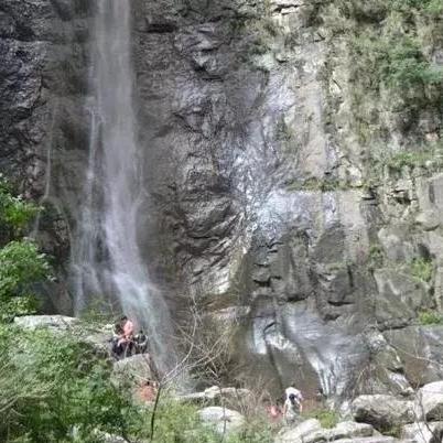 LOL十佳视频类型独家拆解，从新手到绝活哥，精准匹配全场景观赛&学习需求