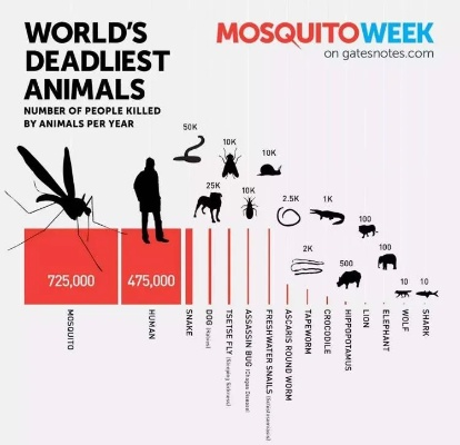 藏了多少门道？冷门致命动物识别+野外逃生全指南