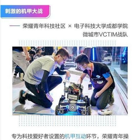 格斗学院类型全拆解，精准匹配上分/休闲/赛事需求，选对方向胜率翻倍