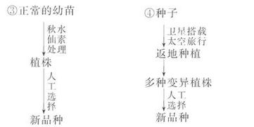 姜承真的是魔翳的弃子？战力分层、剧情伏笔、养成技巧全维度拆解