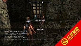 上古卷轴5哪款Mod管理器最适配你？从新手到堆料党的选型与实战攻略