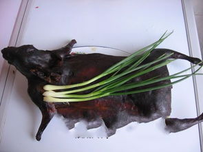 岩烧洞螈怎么用才值？璃月冷门特产的3大核心玩法深度解析2026