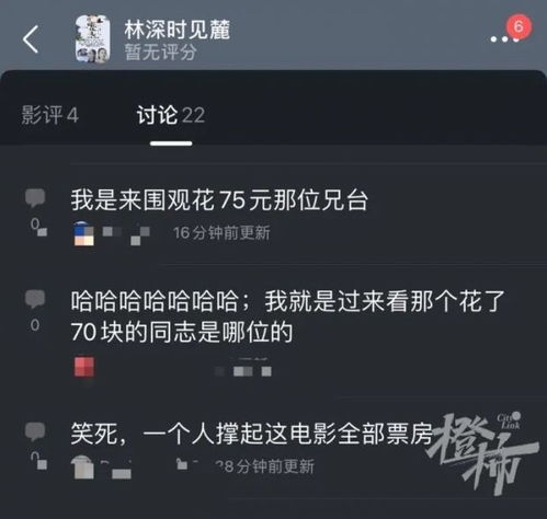 首日票房仅56元！林深时见麓冷遇背后，独立文艺片的生存死局与破圈微光？