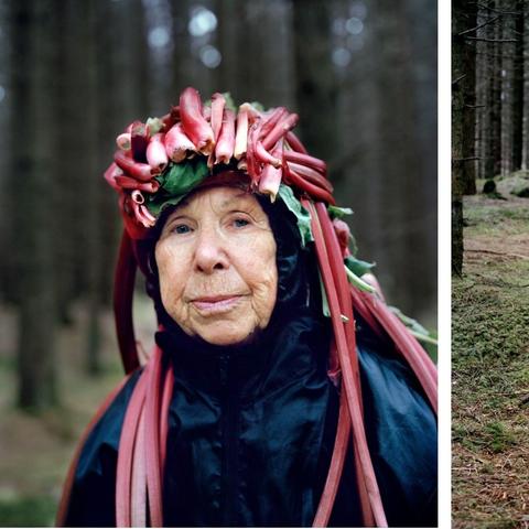 Edda传说类型全解析，北欧史诗/英雄叙事，玩家必懂的游戏背景密钥