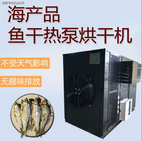 2026果干烘干机全攻略，4类机型匹配热门需求，冷门技巧大揭秘