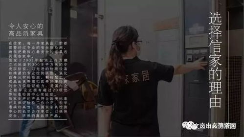 别再踩坑！2026年低配置耐玩单机，覆盖摸鱼/宅家/剧情党全场景