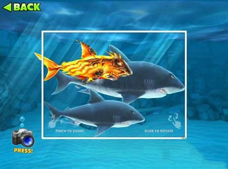 2026饥饿的鲨鱼进化终极攻略，速刷资源/解锁顶级鲨/无伤通BOSS的稀缺技巧