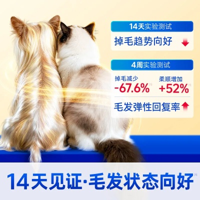 五花宠物网深度指南，新手铲屎官如何选靠谱猫舍、避坑宠物医疗？附2026最新数据