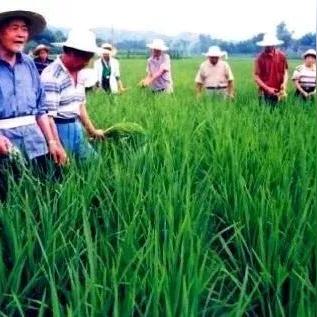 英雄联盟体验服分哪几类？抢资格、测新内容、薅福利的独家实战全攻略