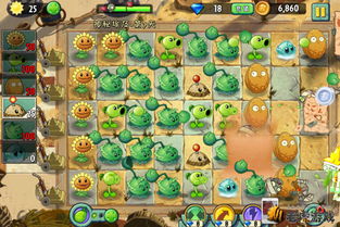 植物大战僵尸中国版独家指南，解锁隐藏关卡、无尽通关技巧与专属植物培养秘籍